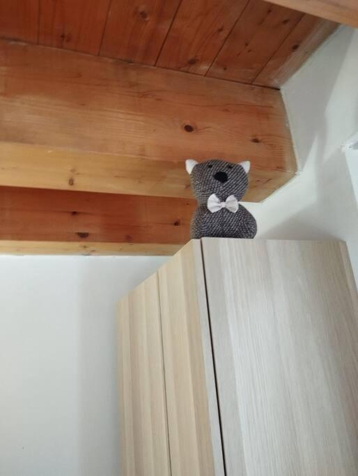 Apartament Casa Annais In Zona Ospedale, Autodromo, Parco Monza Zewnętrze zdjęcie